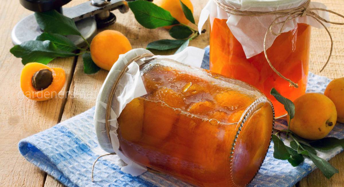 Как сделать сок из абрикосов на зиму в домашних условиях