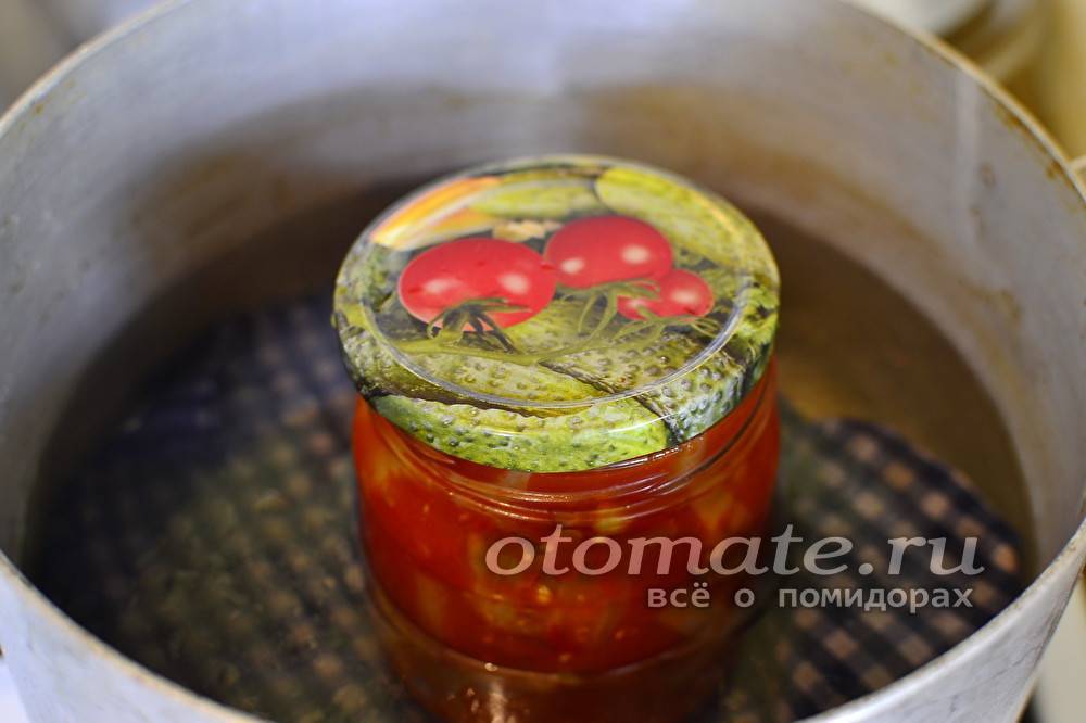 Баклажаны в томатном соке на зиму – рецепты жаренных, маринованных, острых, с чесноком баклажан, видео