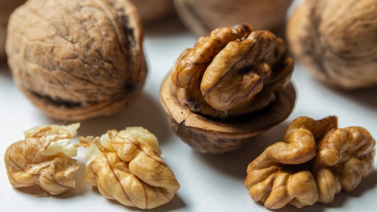 Польза грецкого ореха — 10 лечебных свойств для организма человека, а также вред и противопоказания