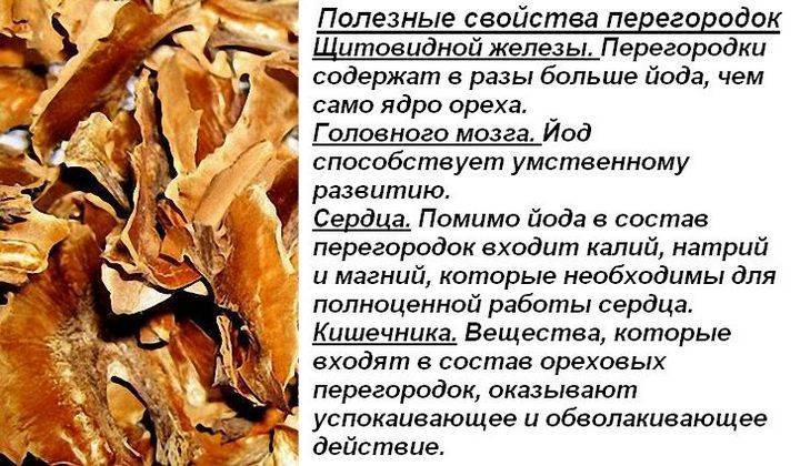 Перегородки грецкого ореха: лечебные свойства, рецепты настойки при сахарном диабете и применение в народной медицине