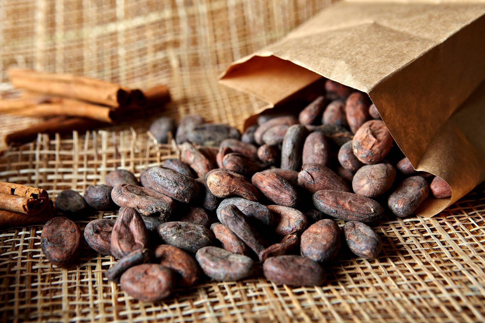 Бобы какао: польза и применение. какао-бобы: фото
