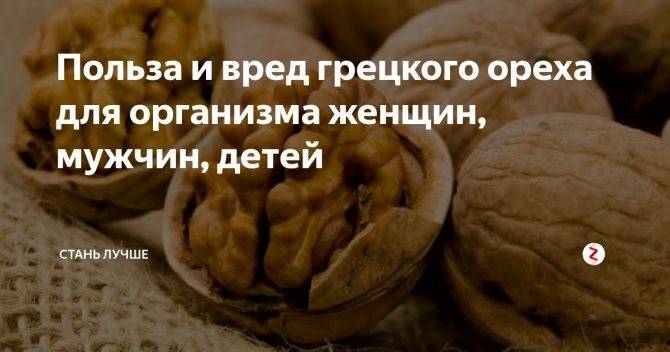 “грецкий орех: полезные свойства для организма и возможный вред”