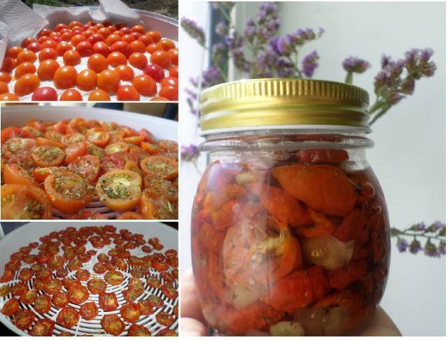 Как приготовить вяленые помидоры в электросушилке - 10 пошаговых фото в рецепте