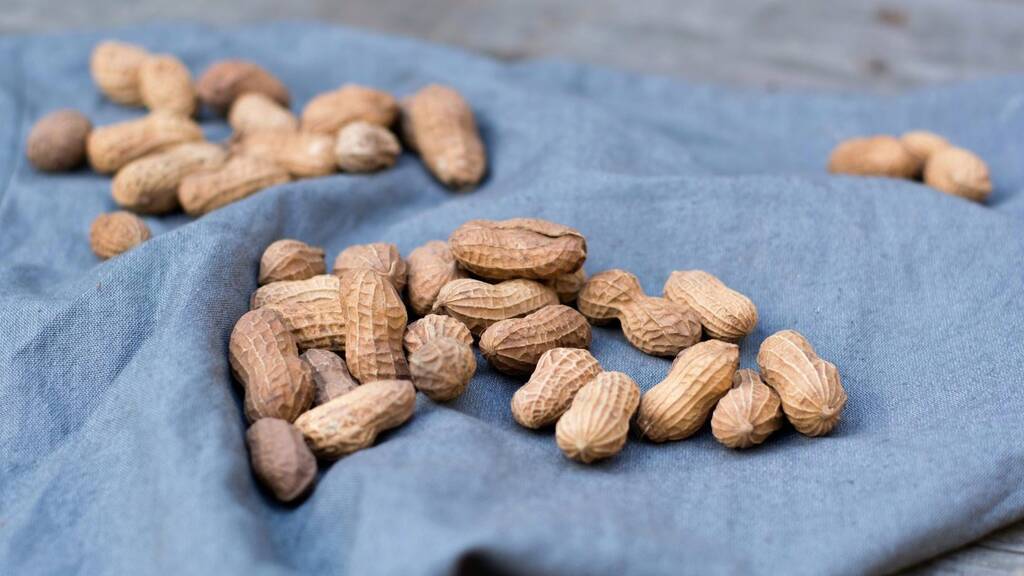Польза арахиса для организма мужчин и женщин: обзор состава, свойства и особенности употребления арахиса (120 фото и видео)