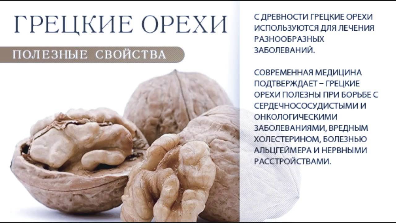 Грецкий орех: польза и вред, лечебные свойства, применение
