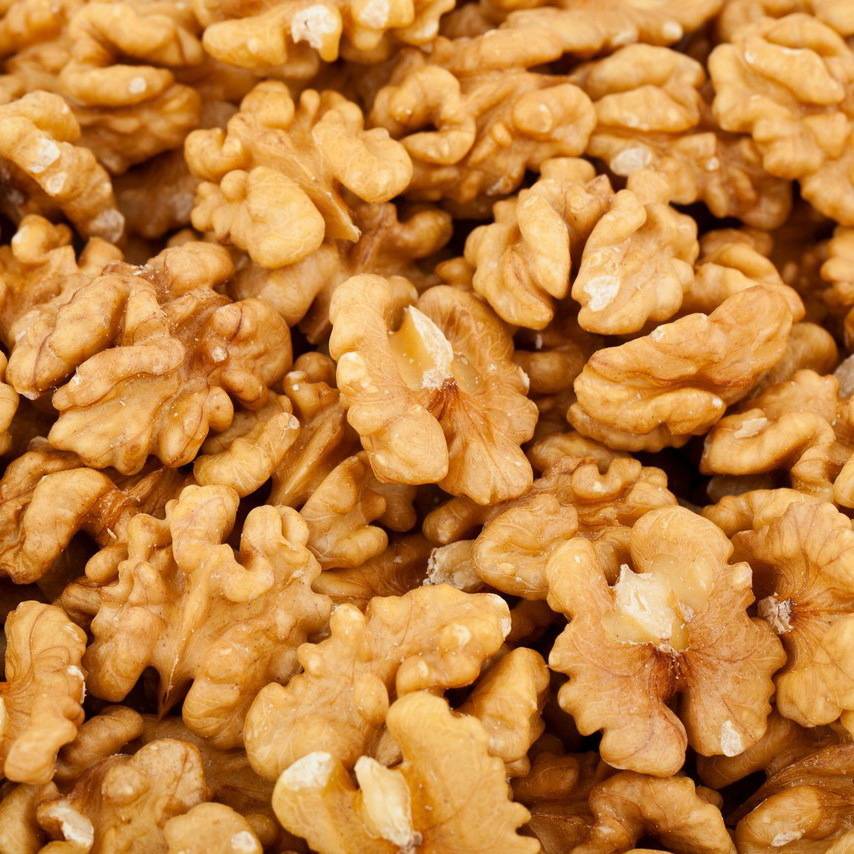 Авелланский орех: польза и вред чилийского ореха, рецепты