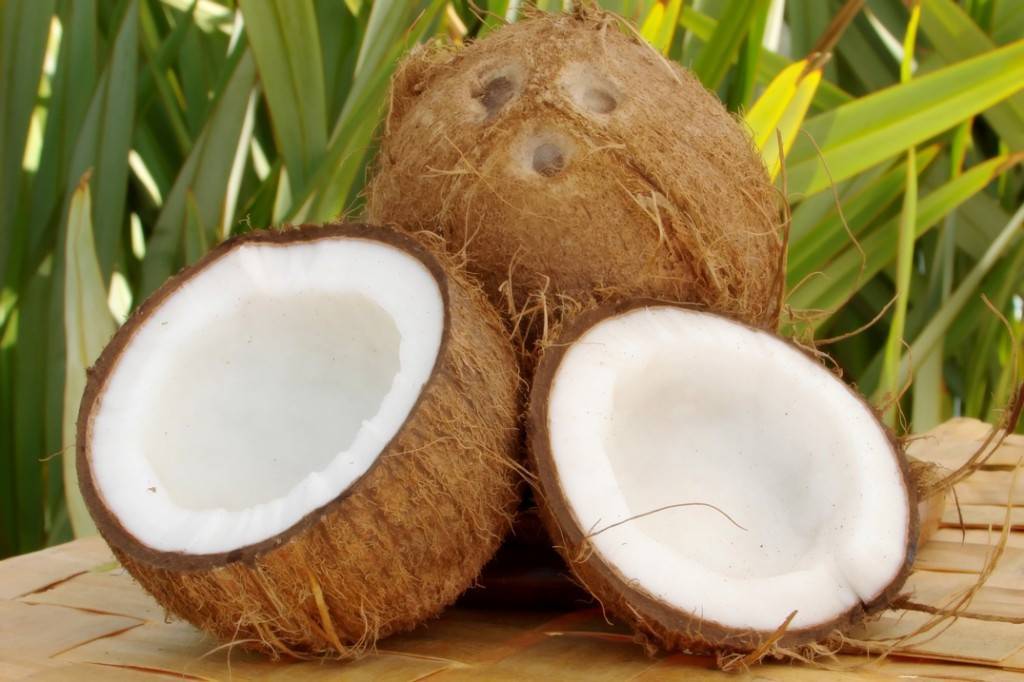 Как едят кокос