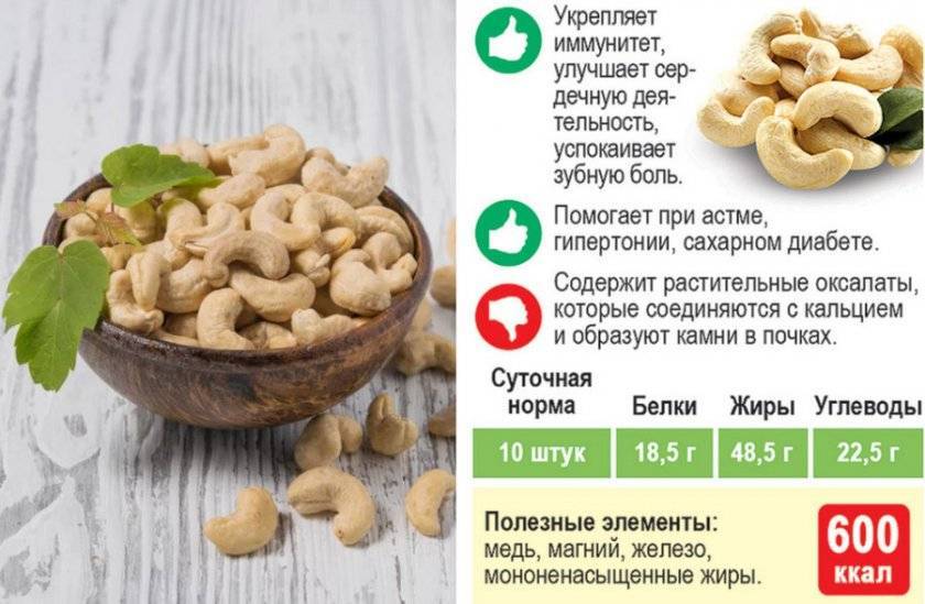 Орехи кешью: польза и вред для организма, фото, калорийность