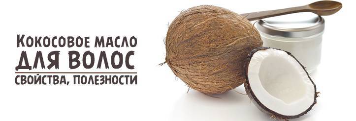Кокос - полезные свойства, калорийность и вред. чем полезен кокос