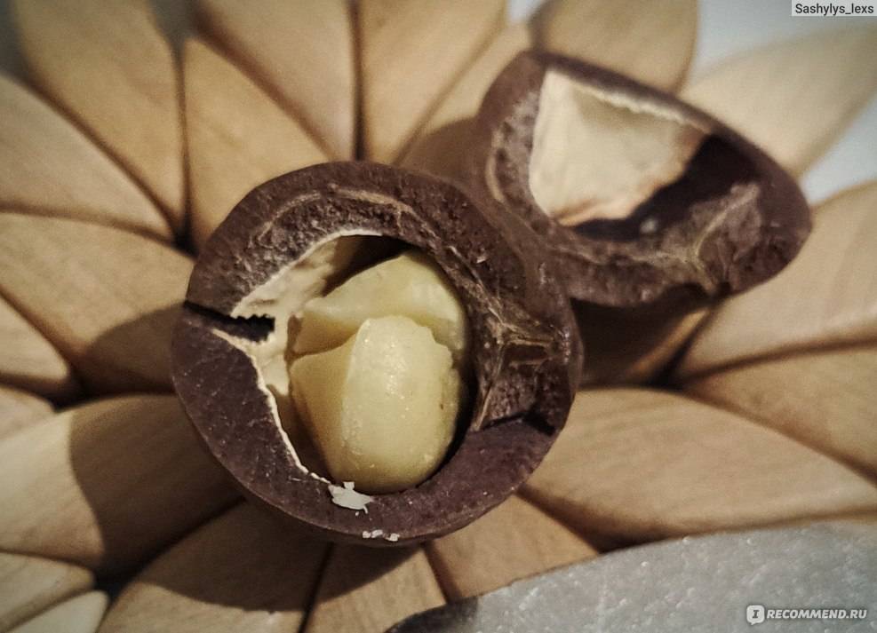 Австралийский королевский орех – макадамия. всё о полезных свойствах, применении и противопоказаниях