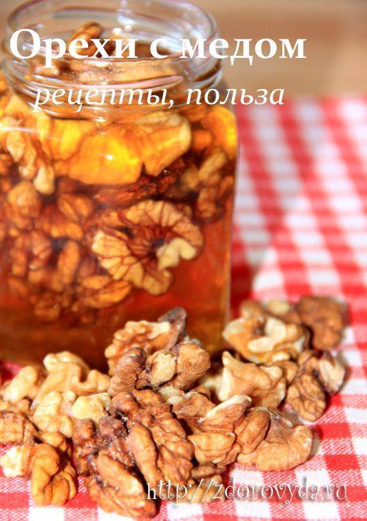 Восточная сладость "орехи в меду" – кулинарный рецепт