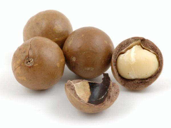 Чем хорош шоколадный орех макадамия и как его правильно есть