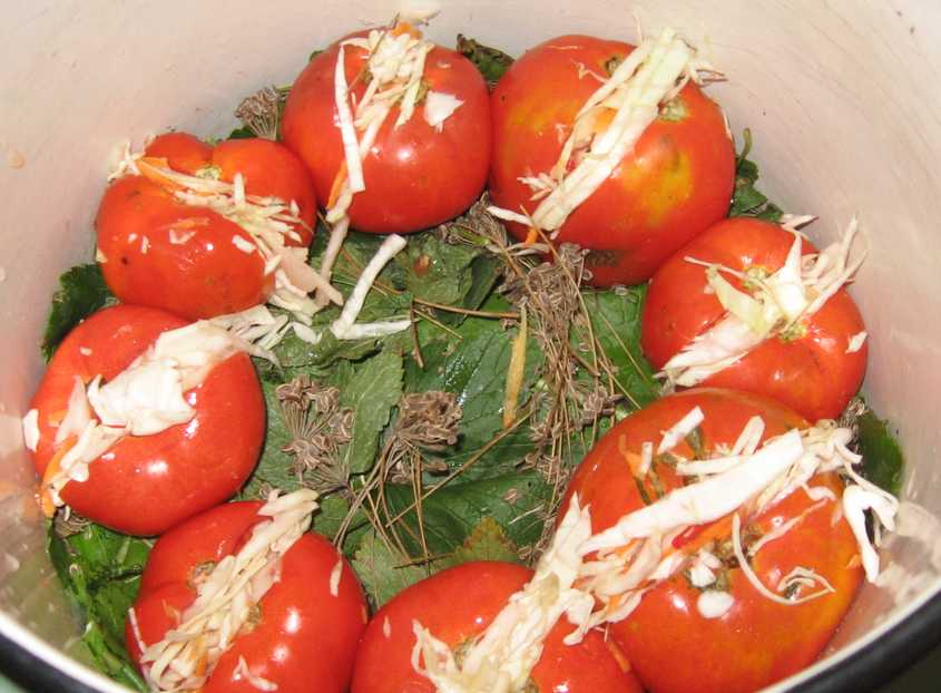 Простые рецепты фаршированных помидоров в свежем, запеченном, маринованном и консервированном виде