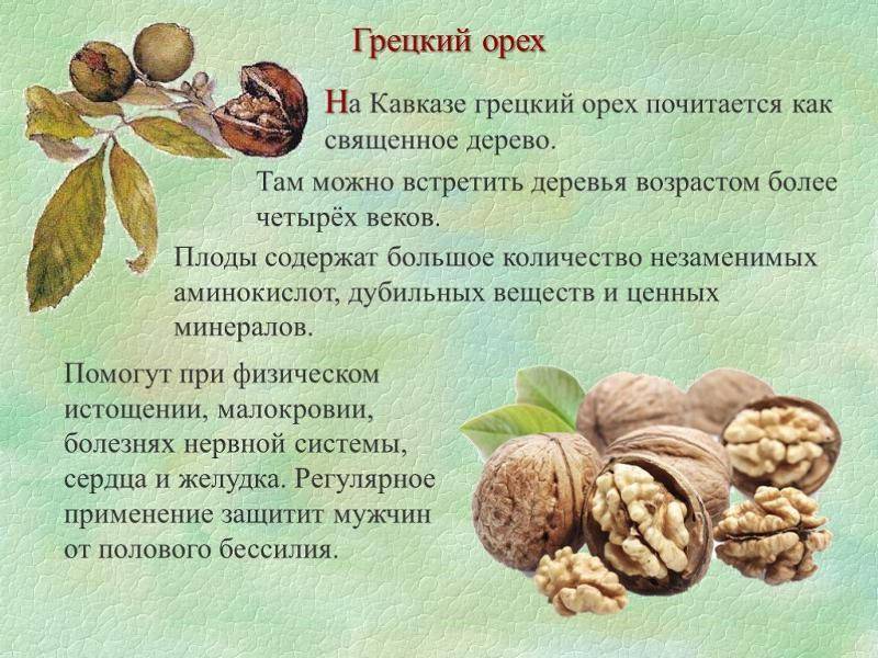 Чем полезен грецкий орех для мужчин и женщин - свойства и состав, применение для лечения организма