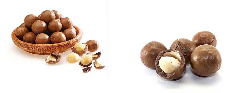 Премиальный орех макадамия: полезные свойства, вкус, аромат и противопоказания