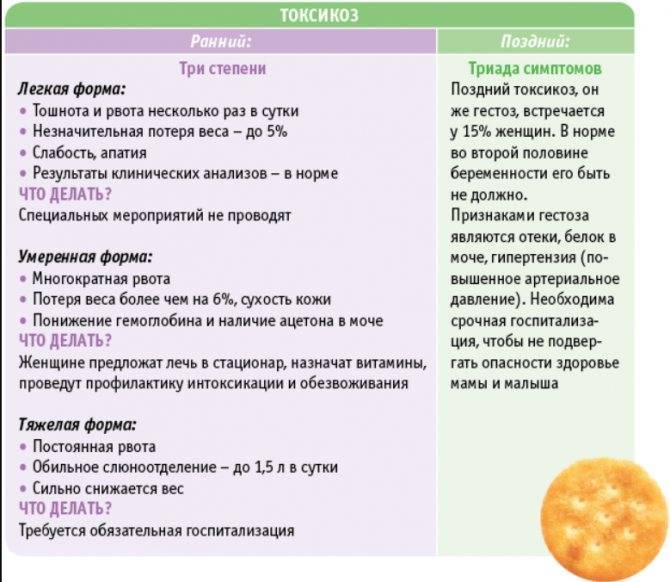 Грецкие орехи при беременности: польза и вред, правила употребления