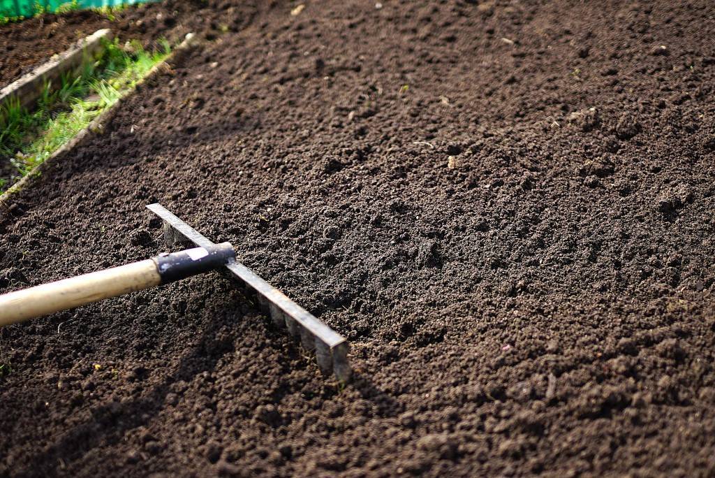 Чем обработать почву перед посадкой весной