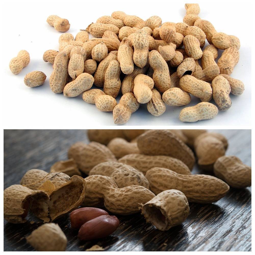 Можно ли есть арахис при высоком холестерине – польза или вред?