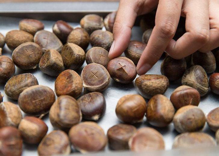 Каштаны – польза и вред коричневых орехов