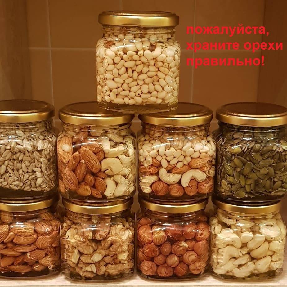 Как правильно хранить очищенные грецкие орехи в домашних условиях: сортировка, где держать, можно ли замораживать?