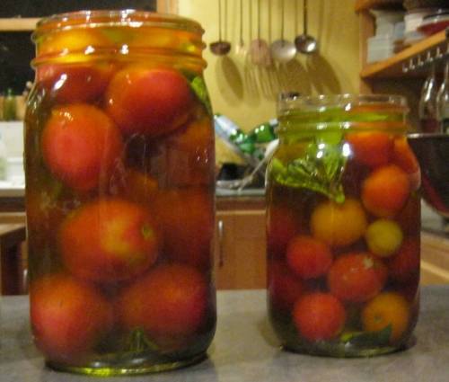 Можно ли мариновать помидоры с веточками