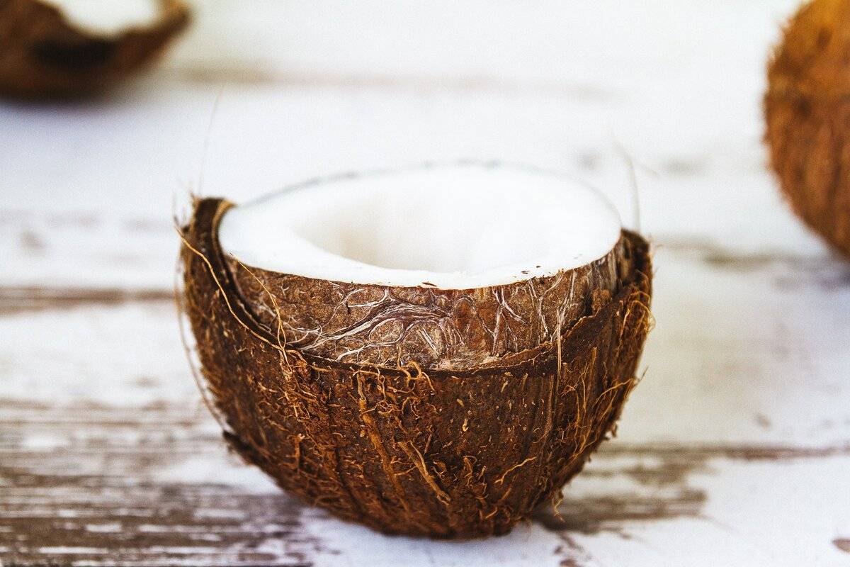 Польза и вред кокоса для здоровья организма