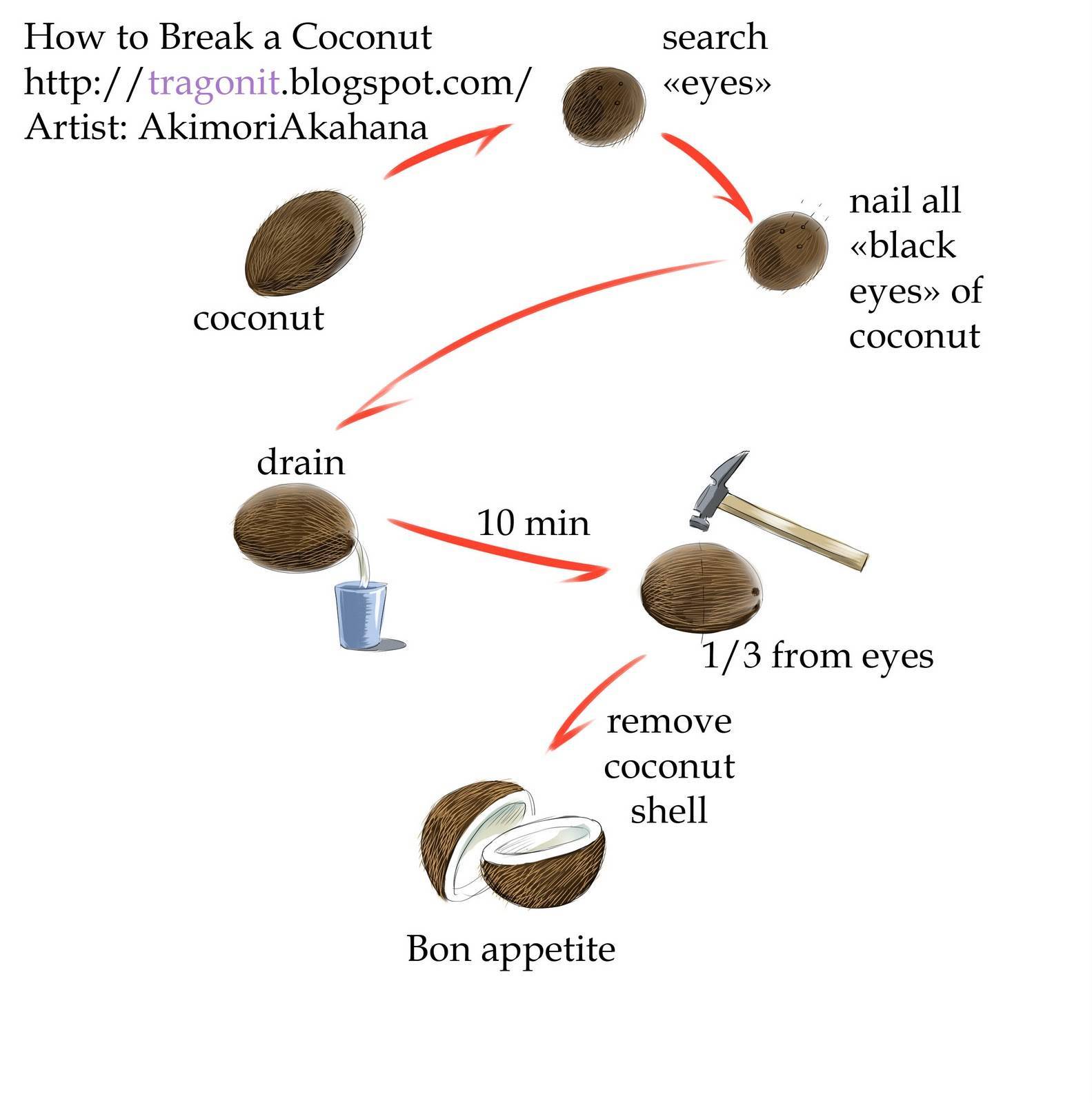 Как открыть кокос в домашних условиях: 8 простых способов