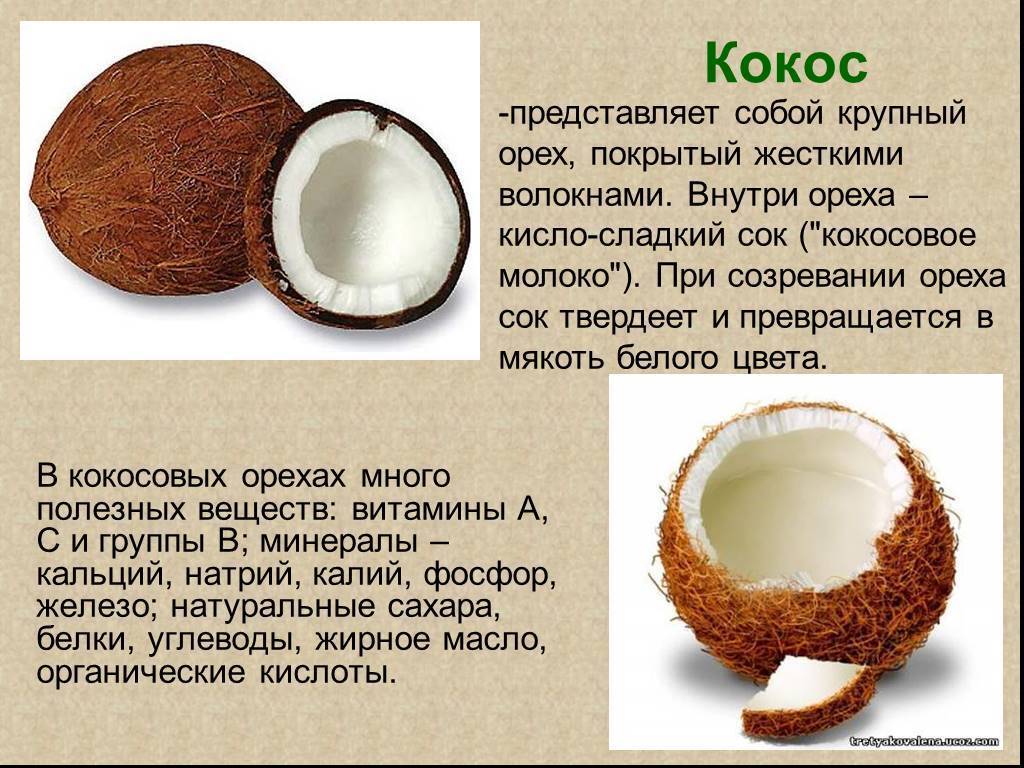 Польза и вред кокоса для здоровья организма