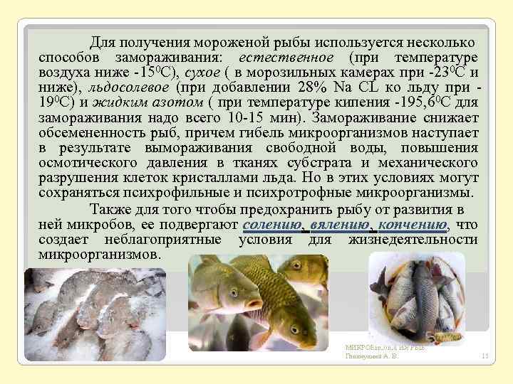 Лекции - холодильная обработка рыбных продуктов - 1.doc