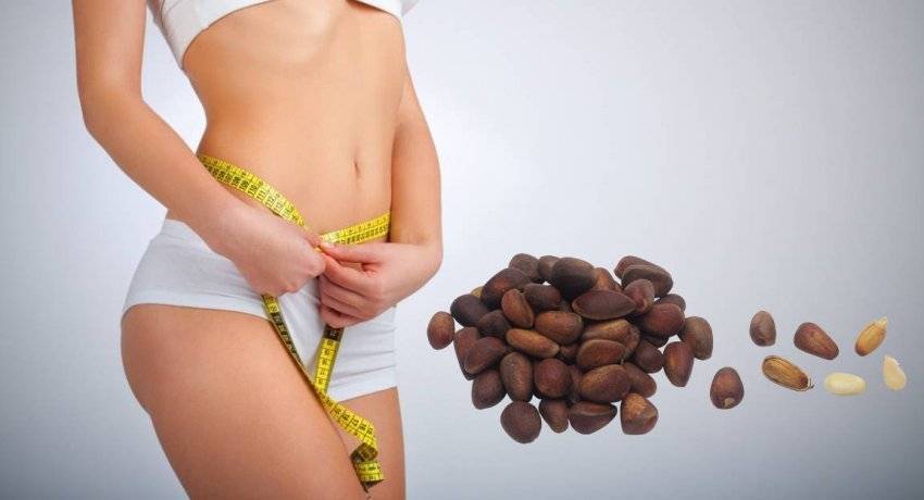 Кедровые орехи: калорийность, польза и вред для организма, противопоказания