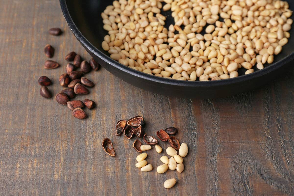 10 рецептов настойки на скорлупе кедровых орехов: для застолья и народной медицины