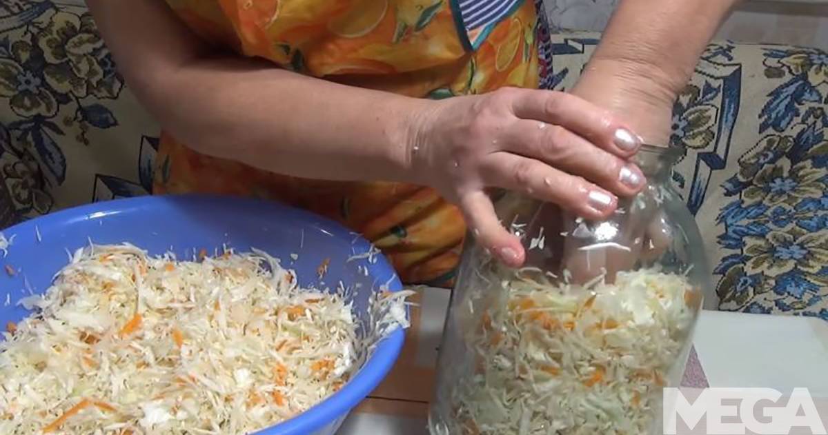 Соленая капуста со свеклой в банке: рецепты быстрого приготовления