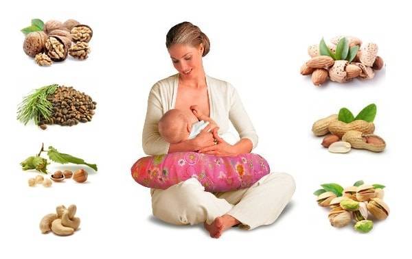 Грецкие орехи при грудном вскармливании для жирности молока: можно ли есть в первый месяц после родов, сколько кушать и польза для кормящей мамы и новорожденного