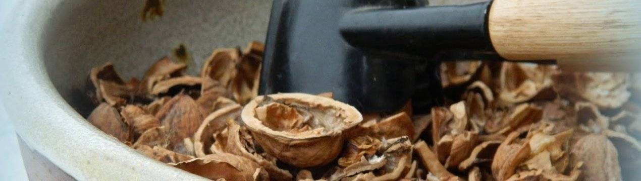 Скорлупа и кожура грецкого ореха: лечебные свойства и противопоказания, использование