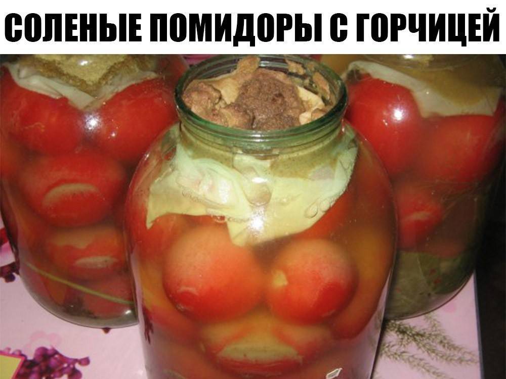 Засолка зеленых помидор с горчицей: в кастрюле, холодным способом, рецепты