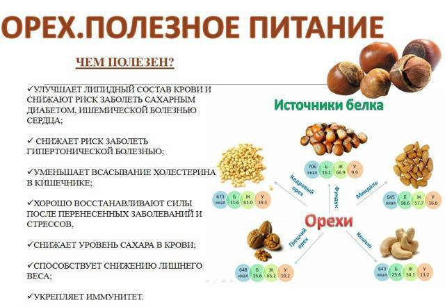 Можно ли орехи при диабете 2 типа — грецкие орехи диабетику