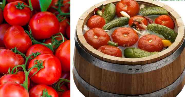 Как солить помидоры в бочке: бабушкин рецепт, видео