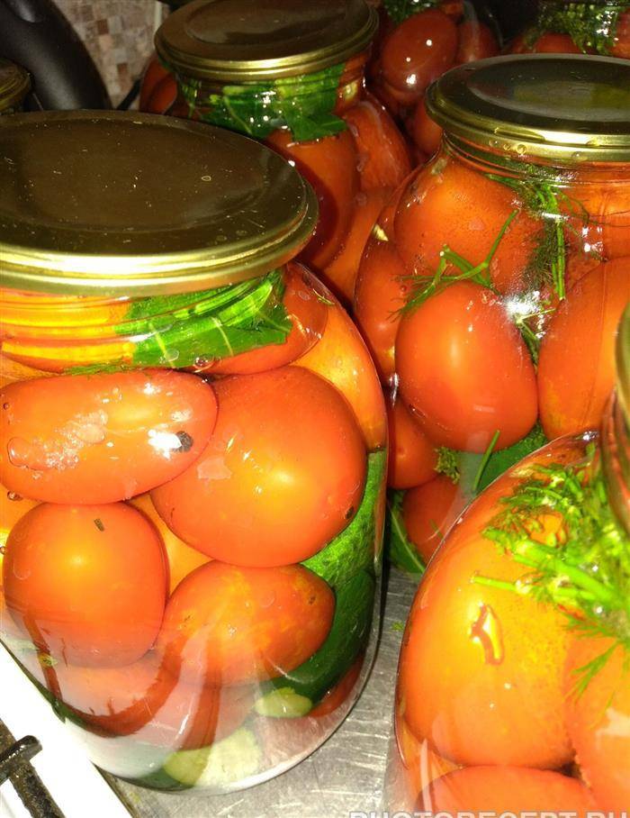 Соленые целые зеленые помидоры на зиму рецепты