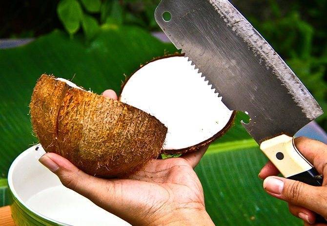 Как правильно открыть кокос в домашних условиях: быстрый способ, видео