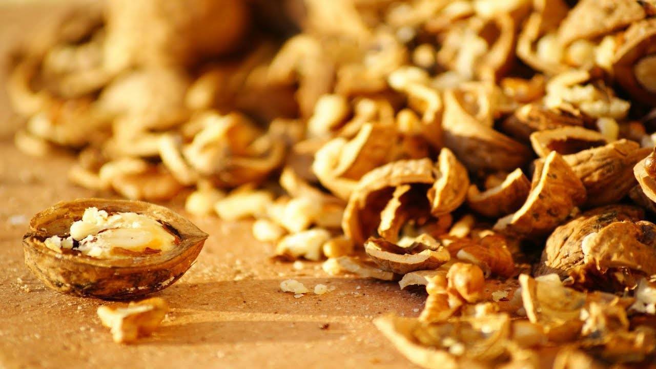 Перегородки грецкого ореха: польза и вред, лечебные свойства, применение