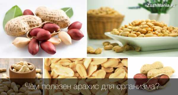 Можно ли кушать арахис при панкреатите