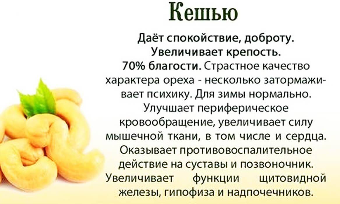 Орехи для потенции - самые полезные для мужчин, суточная норма и рецепты приготовления с медом