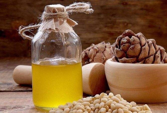 Кедровое масло: лечебные свойства и противопоказания