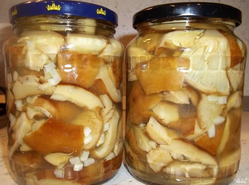 Как замариновать грибы на зиму в банках: рецепты на заметку