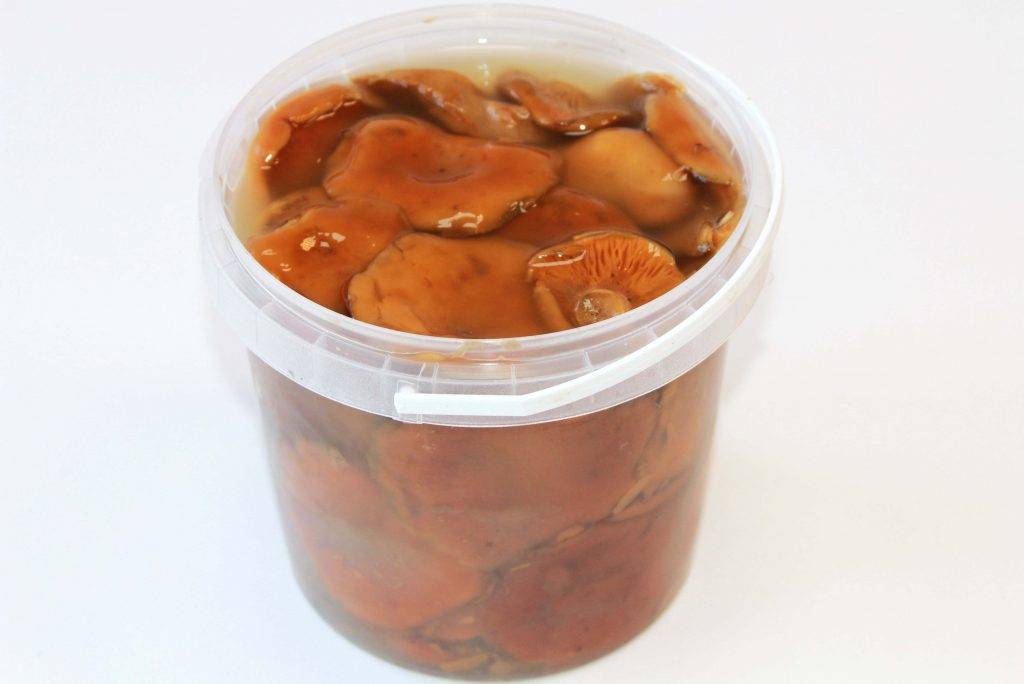 Как солить шампиньоны на зиму в домашних условиях: рецепты соления, как вкусно посолить грибы горячим, холодным способом