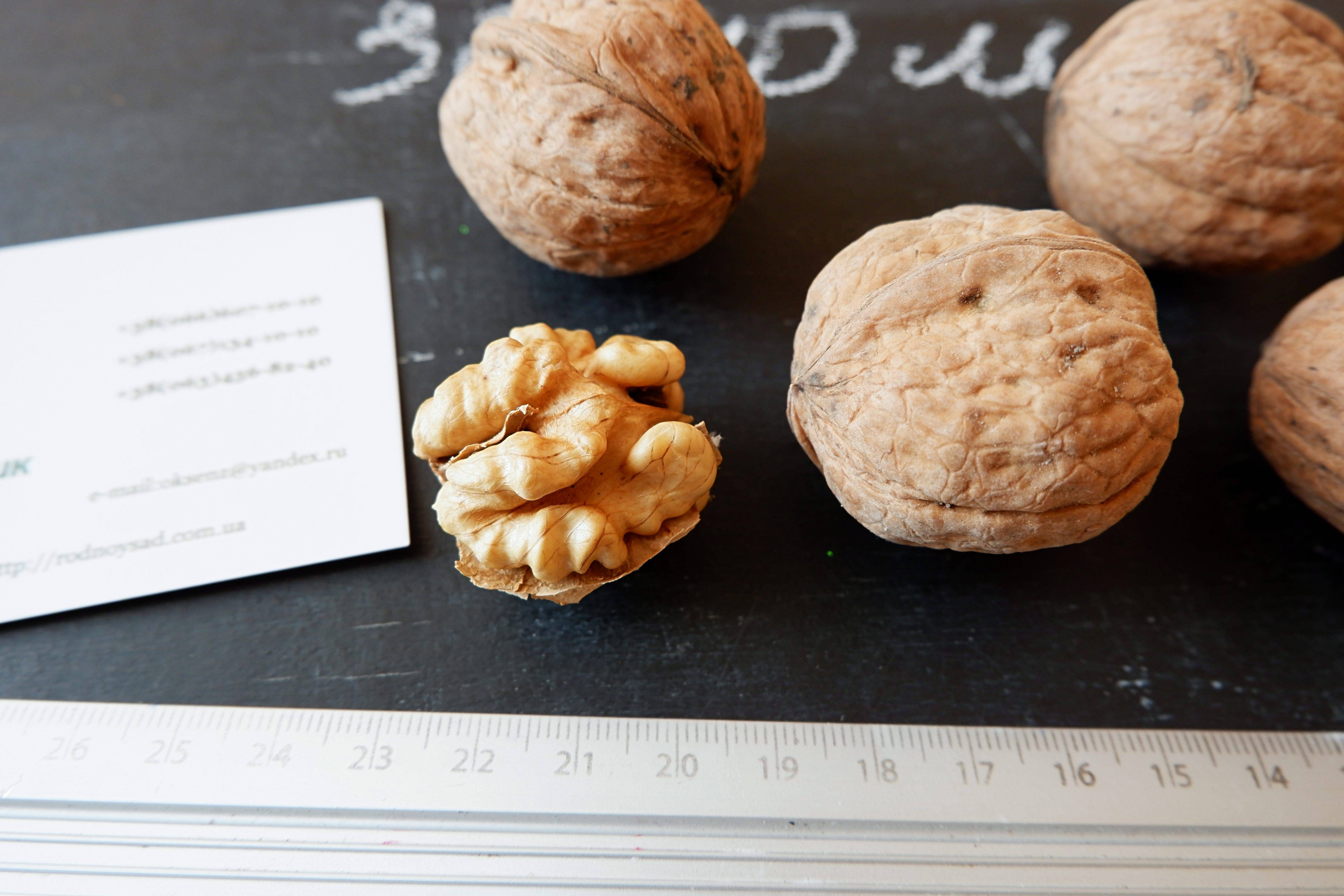 Основные характеристики грецкого ореха идеал. как выращивать этот сорт и нужен ли ему опылитель?