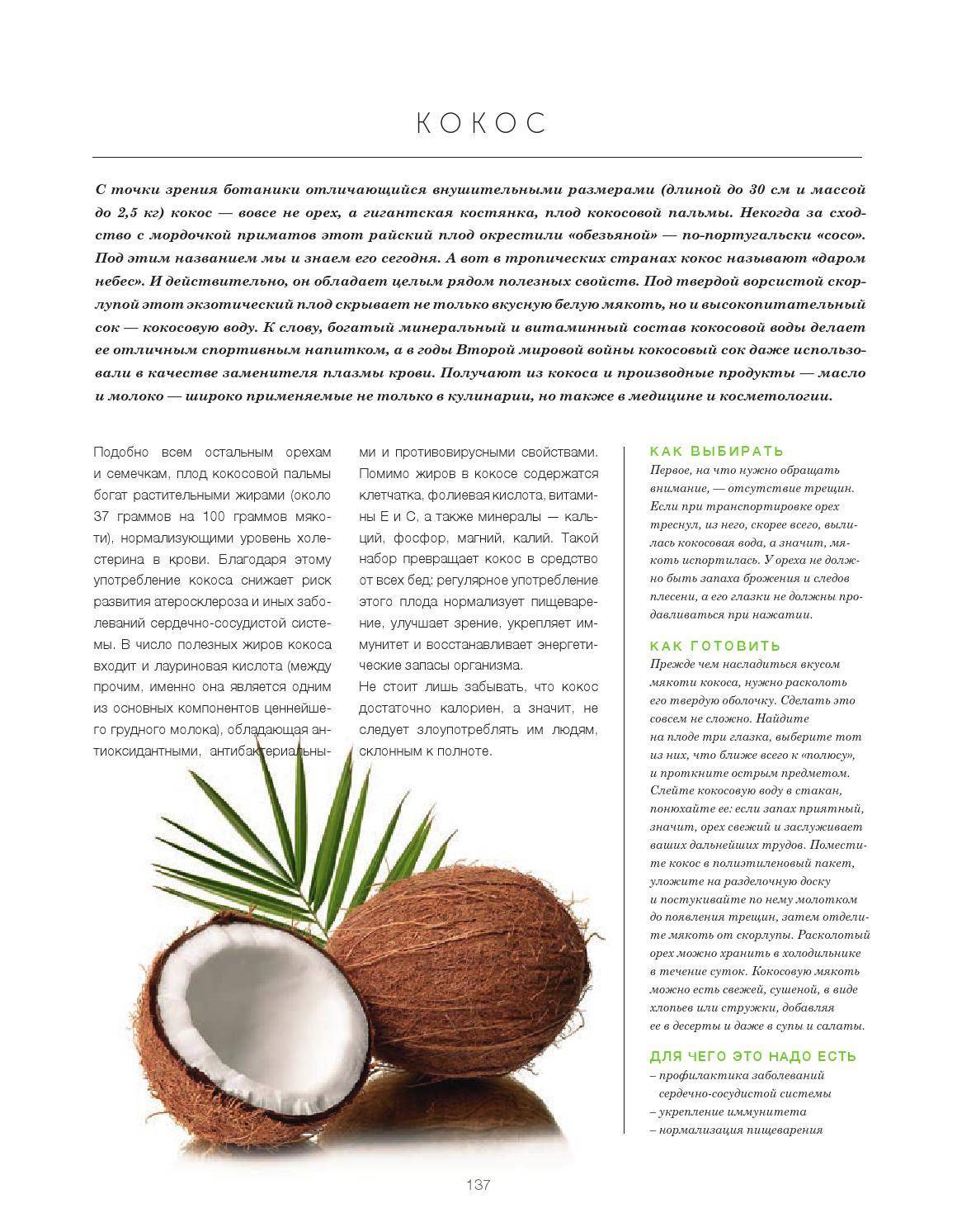 Сколько воды в кокосе. Кокос виды и сорта. Витамины в кокосе. Структура кокосового ореха. Описание кокосовая.
