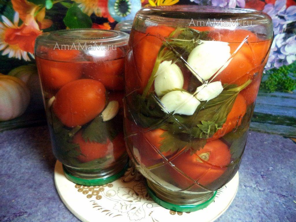 Лучшие рецепты маринованных помидоров с сельдереем на зиму и сроки хранения консервации