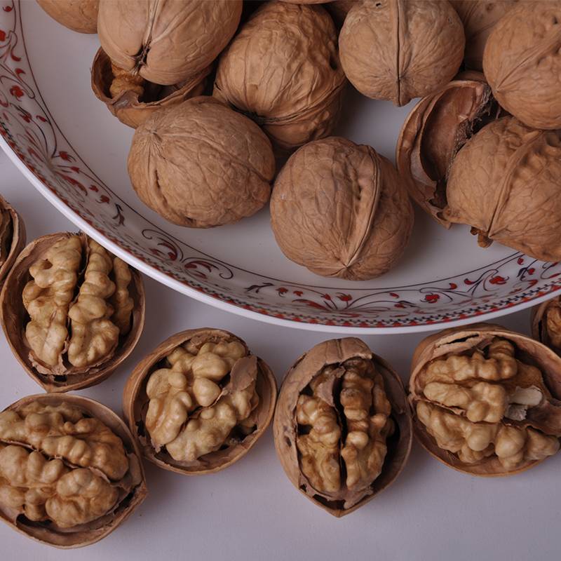 Сорта грецкого ореха: виды, описание, правила выбора