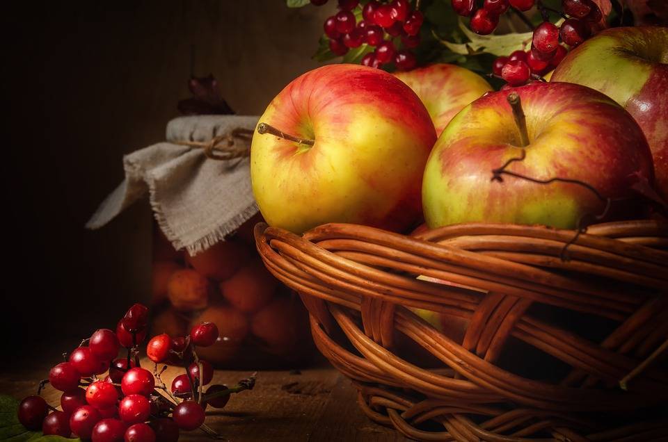 Что делать с гнилыми яблоками в саду: можно ли их использовать и куда выбрасывать